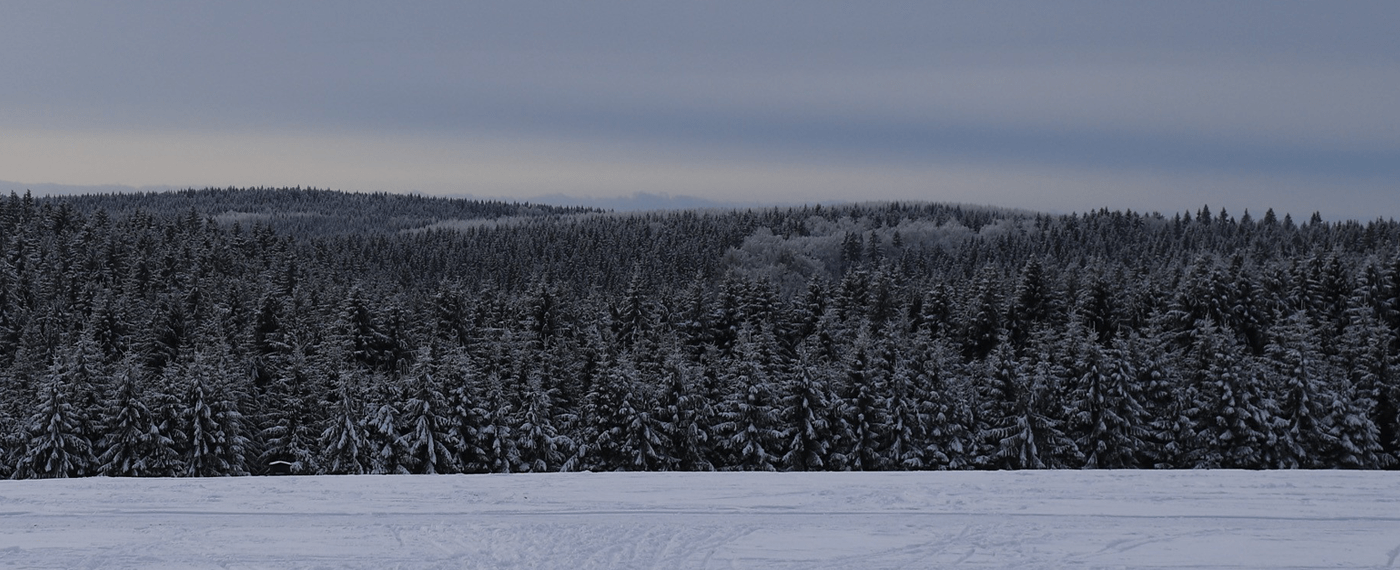 Slider-Image 02